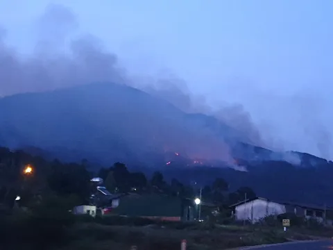 Lâm Đồng: Đang cháy rừng lớn ở núi Voi