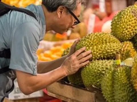 Trung Quốc tự trồng sầu riêng, “đối thủ” chính của Việt Nam vẫn là Thái Lan