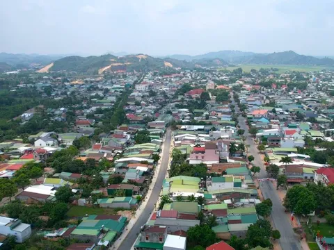 Lâm Đồng: Đề xuất thu hồi các dự án bảo vệ rừng nhưng làm mất rừng