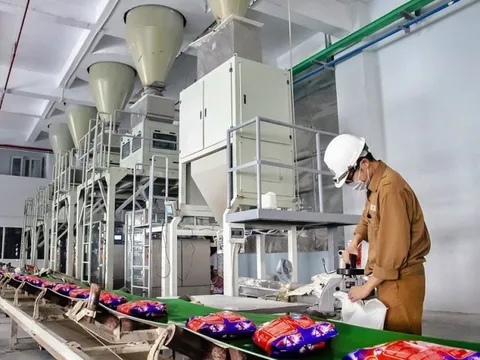 Hoá chất Đức Giang báo lãi giảm, mang hơn 8.000 tỷ đồng gửi lấy lãi