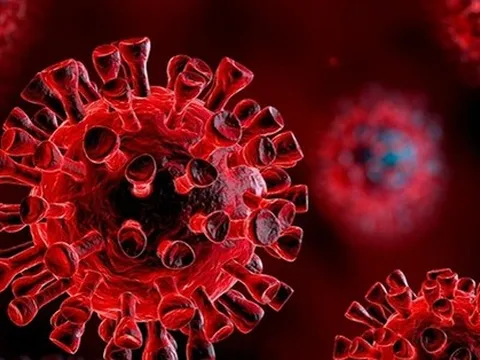 TPHCM phát hiện một loạt biến thể mới của Omicron