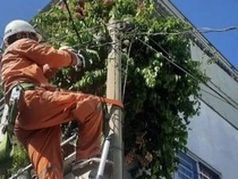 Thành phố Hồ Chí Minh: Lượng điện tiêu thụ tăng mức kỷ lục