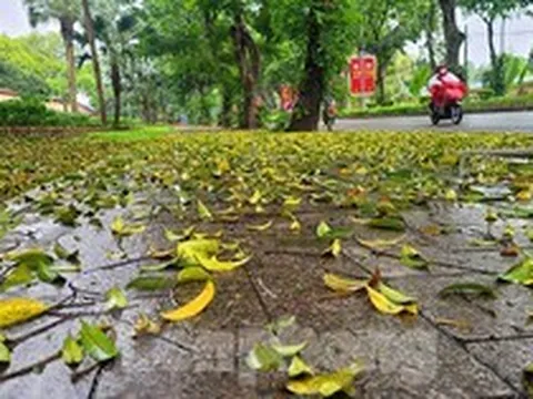 Người dân Thủ đô chật vật đi làm trong mưa rét bất thường