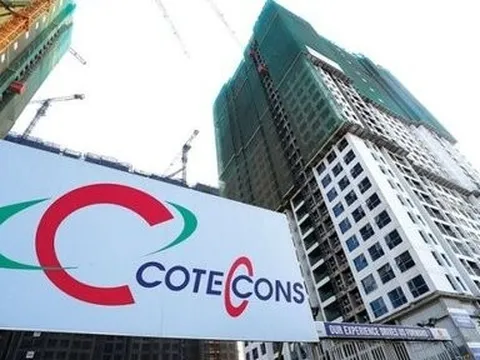 Coteccons dự phòng nợ xấu liên quan Tân Hoàng Minh hơn 1.000 tỷ đồng