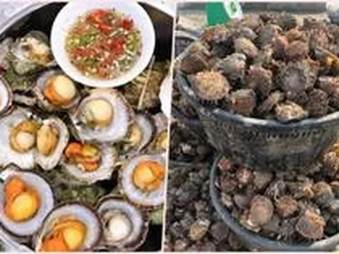 Bào ngư, vi cá mập giá rẻ giật mình, bán tràn 'chợ mạng'