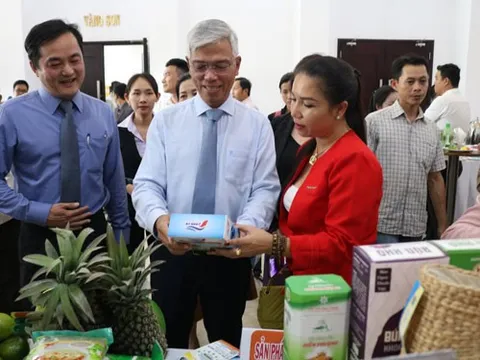 Khai thác lợi thế của đồng bằng