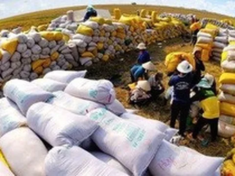 Xuất khẩu gạo mang về gần 1 tỷ USD