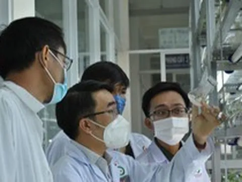 Những cú bắt tay bạc tỉ