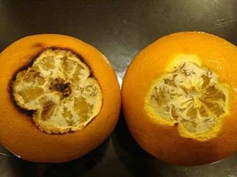 Bật mí 4 loại quả đem hấp chín là "thuốc quý" trong nhà