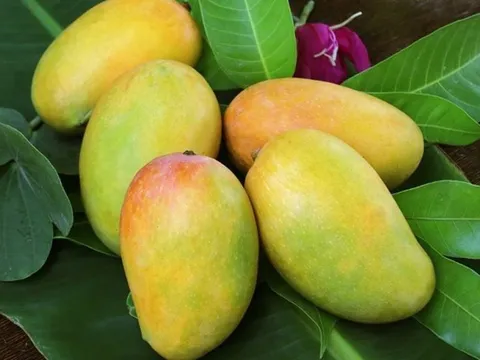 Loại quả 'quốc dân' được nhiều người yêu thích, nhưng một số người cần cẩn thận khi ăn