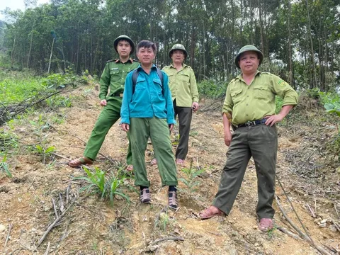 Hà Tĩnh: Phạt đối tượng Bùi Sỹ Quan 11 triệu đồng