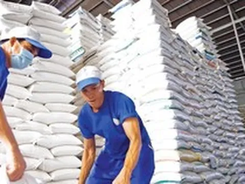 Xuất khẩu giá cao nhưng gạo Việt không đủ để bán
