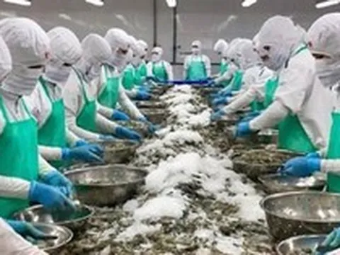 Vì sao doanh nghiệp thủy sản cạn đơn hàng xuất khẩu?