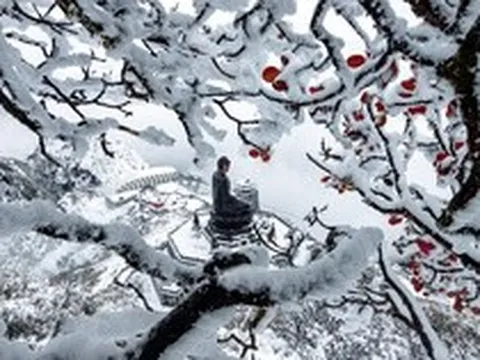 Du lịch Việt Nam: "Đóa hoa sen nghìn cánh"