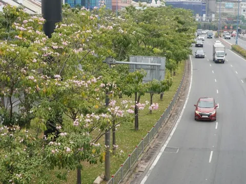 Thời tiết ngày Giỗ tổ Tổ Hùng Vương: Nắng nóng, có khả năng mưa rào và giông