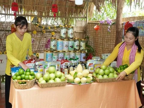 Nhiều hoạt động phong phú tại Lễ hội xoài Đồng Tháp năm 2023