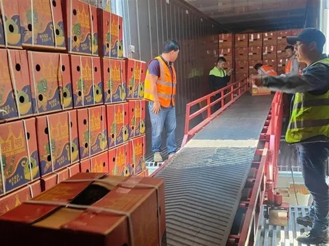 Việt Nam xuất khẩu tỷ USD mặt hàng này sang Trung Quốc nhưng Thái Lan mới là ‘bạn hàng’ số một của người dân ở đây