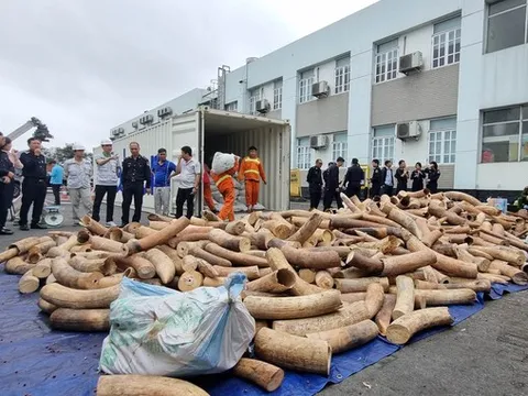 Phó Thủ tướng Trần Lưu Quang gửi thư khen vụ bắt hơn 7 tấn ngà voi tại Hải Phòng