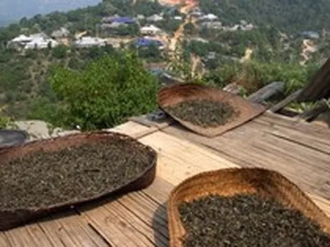 Trung Quốc mạnh tay nhập khẩu mặt hàng này từ Việt Nam dù sở hữu diện tích trồng lớn gấp 14 lần, giá xuất khẩu tăng hơn 100%