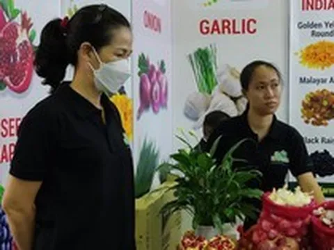 Việt Nam nhập từ Ấn Độ loại rau, quả nào nhiều nhất?