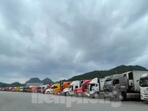 Hàng trăm nghìn tấn nông sản xuất sang Trung Quốc dịp nghỉ lễ