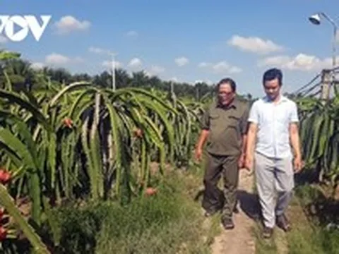 Nước mặn tăng bất thường, người dân Tiền Giang chưa xuống giống vụ mùa