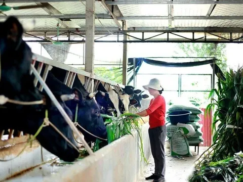 Hà Nội tiếp tục dành các nguồn lực để xóa đói giảm nghèo bền vững