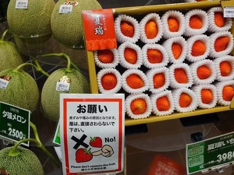 Nông sản “rẻ bèo” ở Việt Nam được Nhật Bản ‘cải tiến’: Trồng với phương thức ‘đặc biệt’, có quả lên tới 143 triệu đồng, một nước châu Âu săn lùng ráo riết