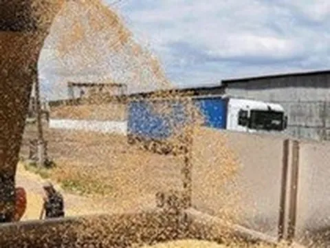 Ukraine tạm ngừng xuất khẩu ngũ cốc sang 5 nước châu Âu