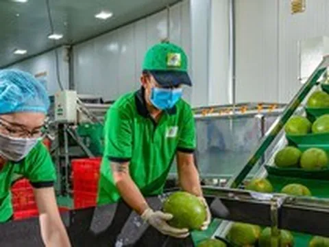 Xuất khẩu nông, lâm, thủy sản giảm sốc