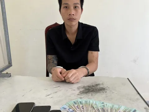 Lập Facebook "ảo" lừa bán cây cảnh giá rẻ để chiếm đoạt tài sản