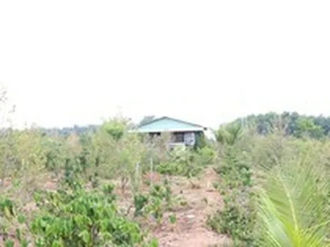 Bắt giam Phó Giám đốc Trung tâm phát triển quỹ đất TP.Kon Tum