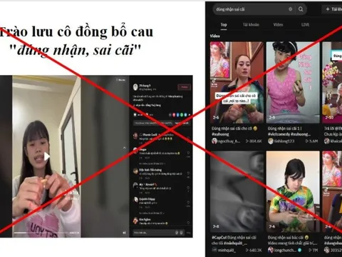 Kiểm tra toàn diện hoạt động của Tiktok tại Việt nam trong 15 ngày