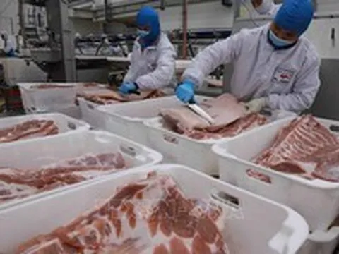 Xuất khẩu thịt và các sản phẩm từ thịt tăng trưởng 2 con số