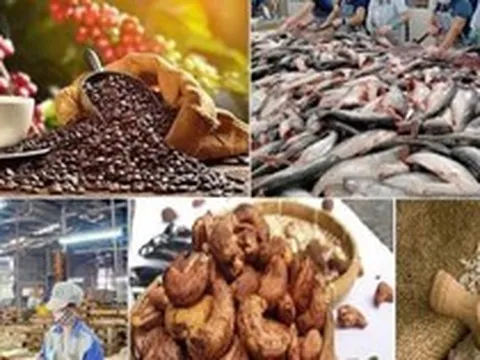 Xuất khẩu nông, lâm, thủy sản tiếp tục đà giảm sâu: điều gì đang xảy ra?