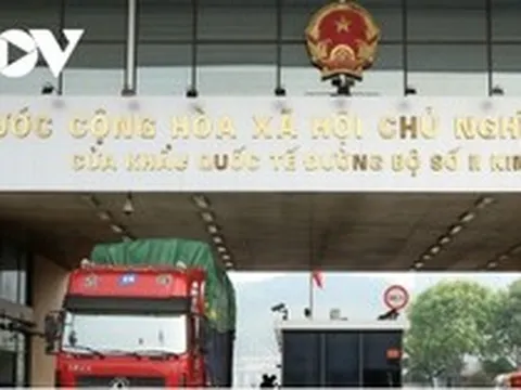Cảnh báo giả mạo giấy chứng nhận xuất khẩu nông sản sang Trung Quốc