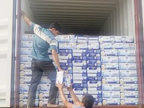 Bắt giám đốc công ty nhập lậu sữa từ Mỹ về Việt Nam