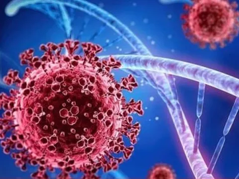 Hà Nội: Giải trình tự gen 36 mẫu bệnh COVID-19, biến thể XBB.1.5 chiếm ưu thế