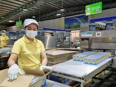 Chủ thương hiệu Vinasoy mang hơn 5.000 tỷ đồng gửi ngân hàng lấy lãi