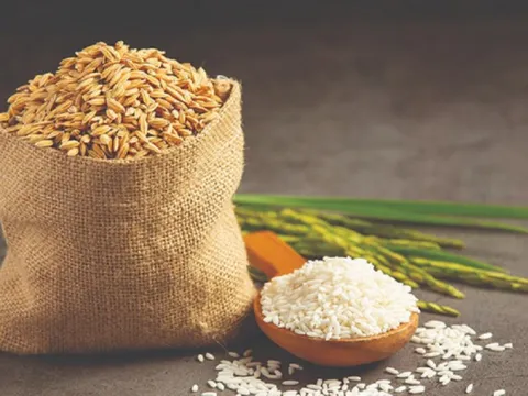 Liên tục đón tin vui, gạo Việt Nam ngày càng khẳng định vị trí trên thị trường thế giới
