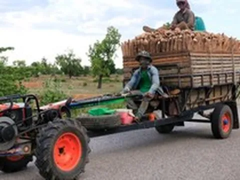 Một loại nông sản của Việt Nam đang “làm mưa làm gió” tại Nhật Bản, xuất khẩu tăng mạnh hơn 2.300% chỉ trong 2 tháng đầu năm