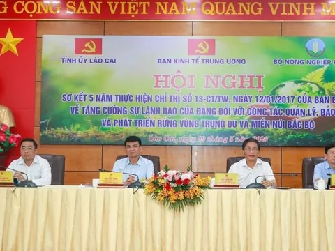 Để tài nguyên rừng trở thành động lực phát triển kinh tế quan trọng