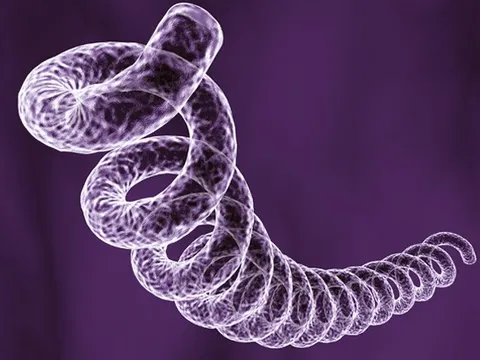 Mỹ: Cảnh báo bệnh tình dục "cũ" trỗi dậy, trẻ em bị lây tăng 8 lần