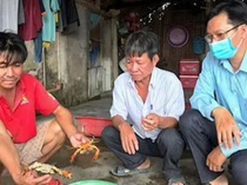 Cua Cà Mau chết rải rác trên diện tích hơn 12.000 ha