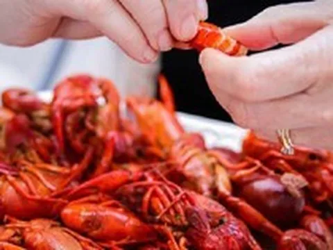 Sinh vật ngoại lai, nguy hại của Trung Quốc bỗng ngập chợ mạng, giao hàng tận cửa cho khách Việt với giá nửa triệu một kg