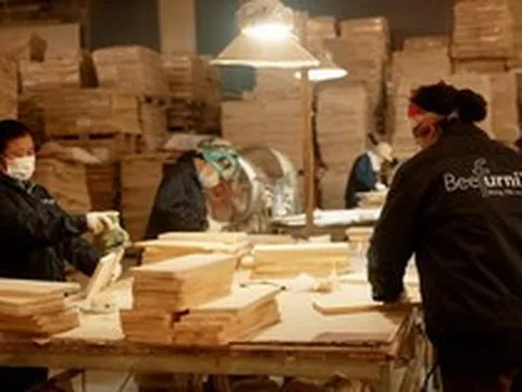Tăng trưởng 300% trên Amazon, một hãng đồ gỗ Việt đi từ gia công đến tự chủ thương hiệu, tham vọng phủ sóng khắp nước Mỹ