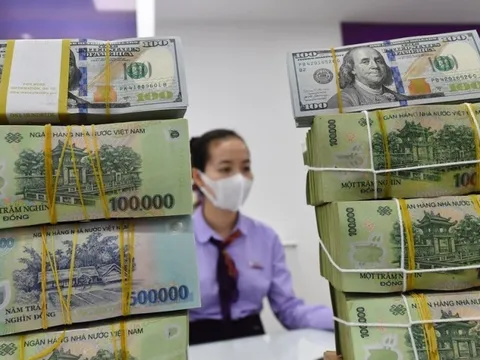 Top 10 doanh nghiệp sở hữu lượng tiền nhiều nhất sàn chứng khoán