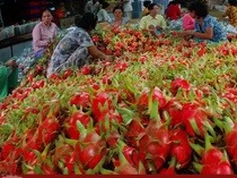 Xuất khẩu rau quả 4 tháng thu hơn 1 tỷ USD