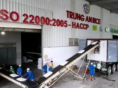 Chi phí lãi vay bào mòn lợi nhuận của Gạo Trung An