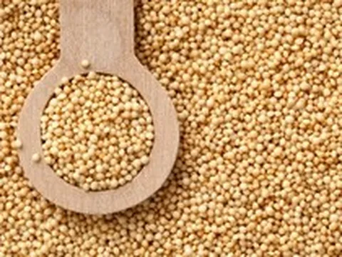 Xuất hiện từ 8.000 năm trước: Ở Việt Nam mọc đầy vườn, có giá vài nghìn đồng; ở phương Tây là mặt hàng trị giá hàng tỷ USD